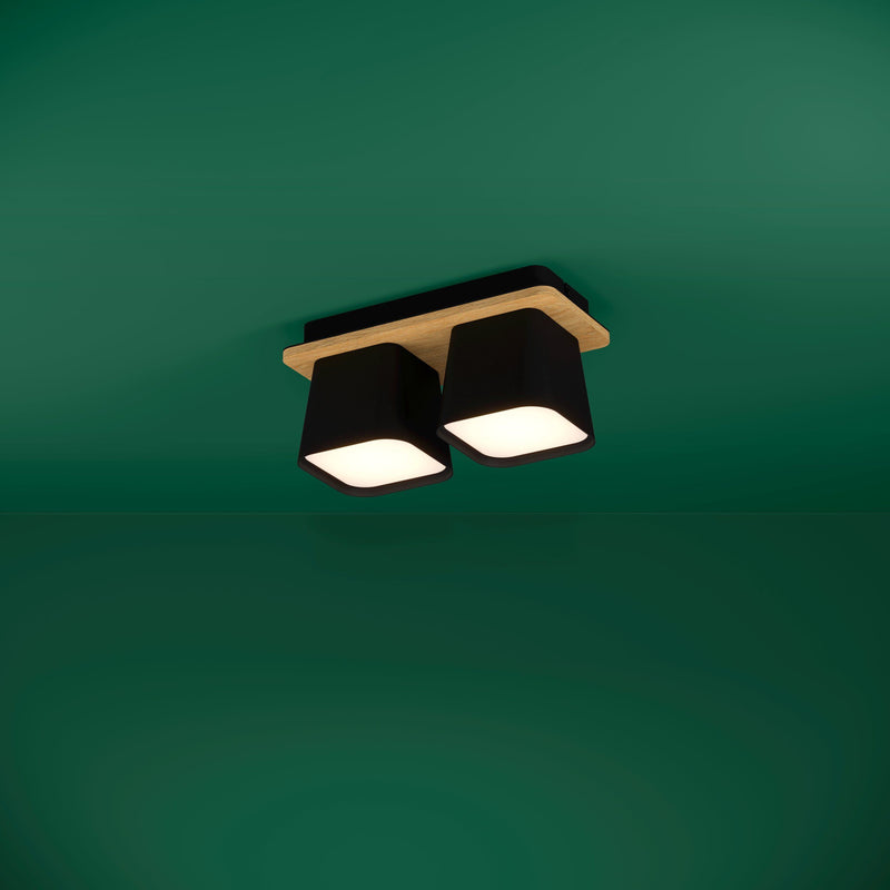 Cargue la imagen en el visor de la galería, Plafon de tecto eglo RUSCIO 390007