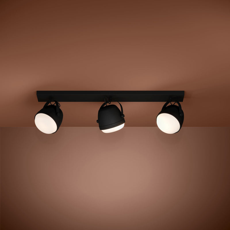 Load image into Gallery viewer, Aplique de Tecto Eglo UPANEMA 390045