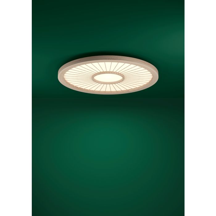 Chargez l'image dans la visionneuse de la galerie, Candeeiro de teto LED com painel branco e cobertura em bambu DEHESA EGLO
