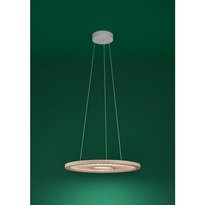 Carregue imagem no visualizador da galeriaCandeeiro de teto LED com painel branco e bambu DEHESA EGLO
