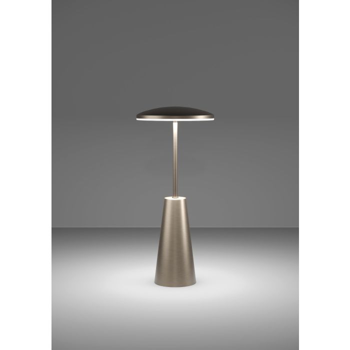 Load image into Gallery viewer, Candeeiro de Mesa Recarregável com Temperatura de Cor Ajustável PICCOLA EGLO
