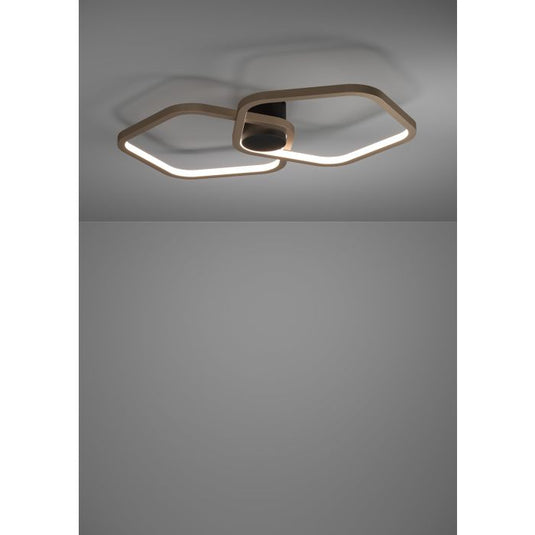 Candeeiro de teto LED com design orgânico e controlo remoto ESTRELLA EGLO