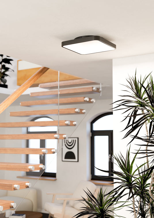 Plafon Loretello-Z eglo 901911