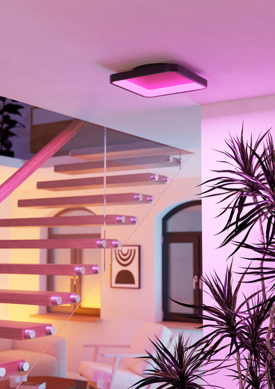 Plafon Loretello-Z eglo 901911