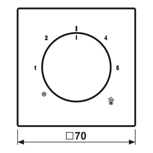 Placa central para termóstato Símbolo de temperatura branco LS JUNG
