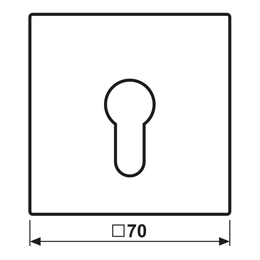 Capa para Interruptor de Chave Série LS Branco JUNG