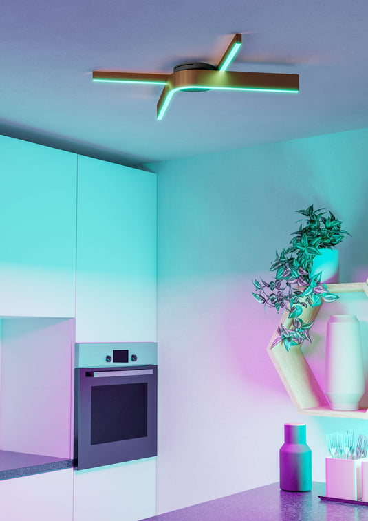 Plafon de teto com iluminação ajustável FOLCINO-Z 901863 - Eglo