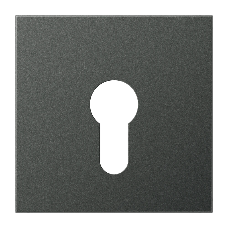 Chargez l'image dans la visionneuse de la galerie, Capa para Interruptor de Chave Alumínio Lacado Antracite Série LS JUNG
