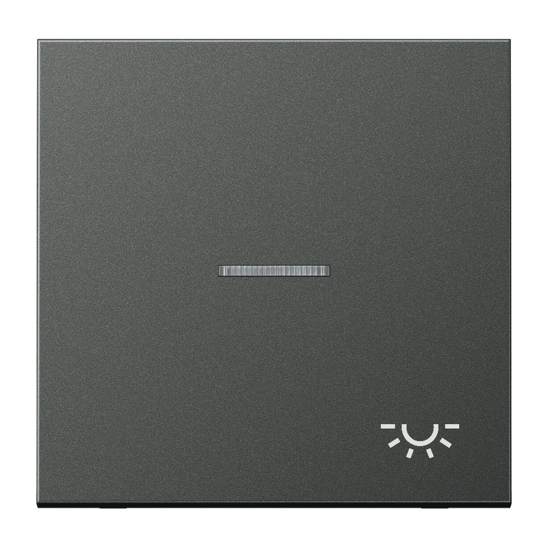 Cargue la imagen en el visor de la galería, Tecla simples com símbolo luz e visor alumínio lacado anthracite Série LS JUNG
