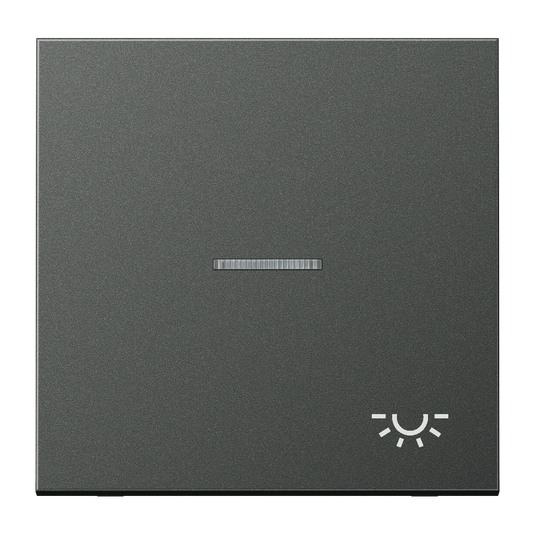 Tecla simples com símbolo luz e visor alumínio lacado anthracite Série LS JUNG