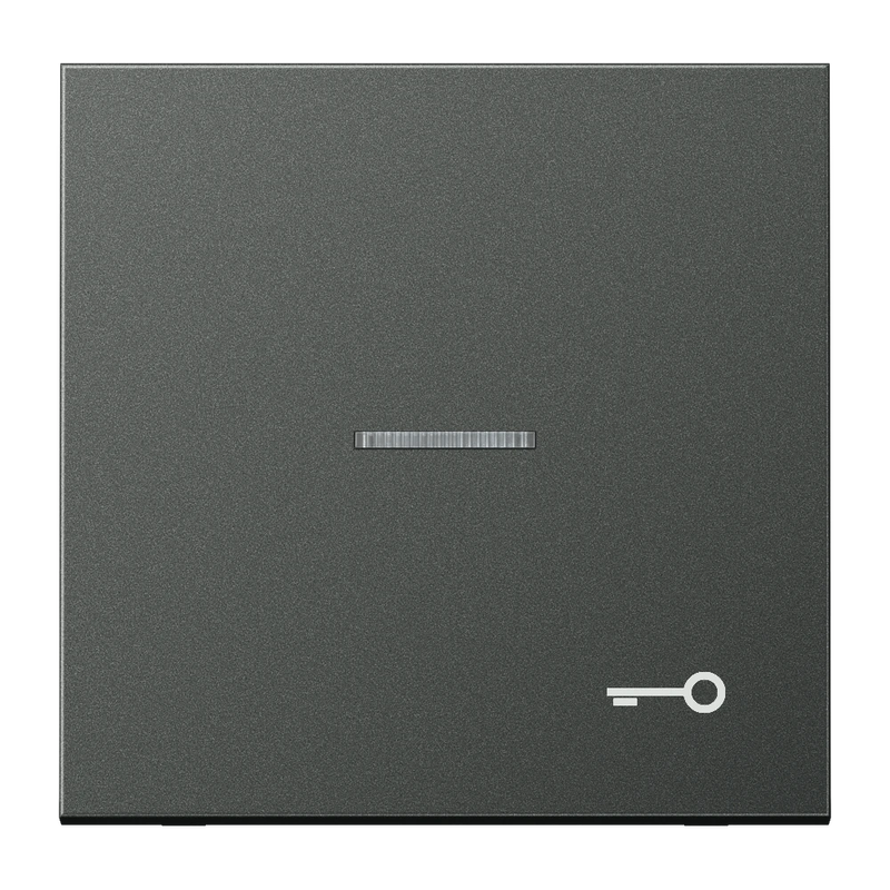 Carregue imagem no visualizador da galeriaTecla simples símbolo porta com visor alumínio lacado LS JUNG
