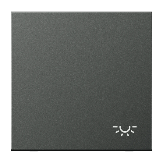 Tecla simples símbolo luz alumínio lacado antracite LS JUNG