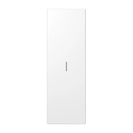 Tecla de Grande Superfície Simples com Visor Aço Lacado LS JUNG