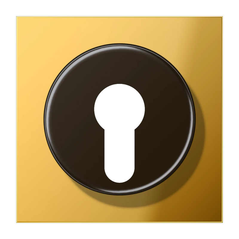 Load image into Gallery viewer, Capa para Interruptor de Chave com Proteção Dourada LS JUNG

