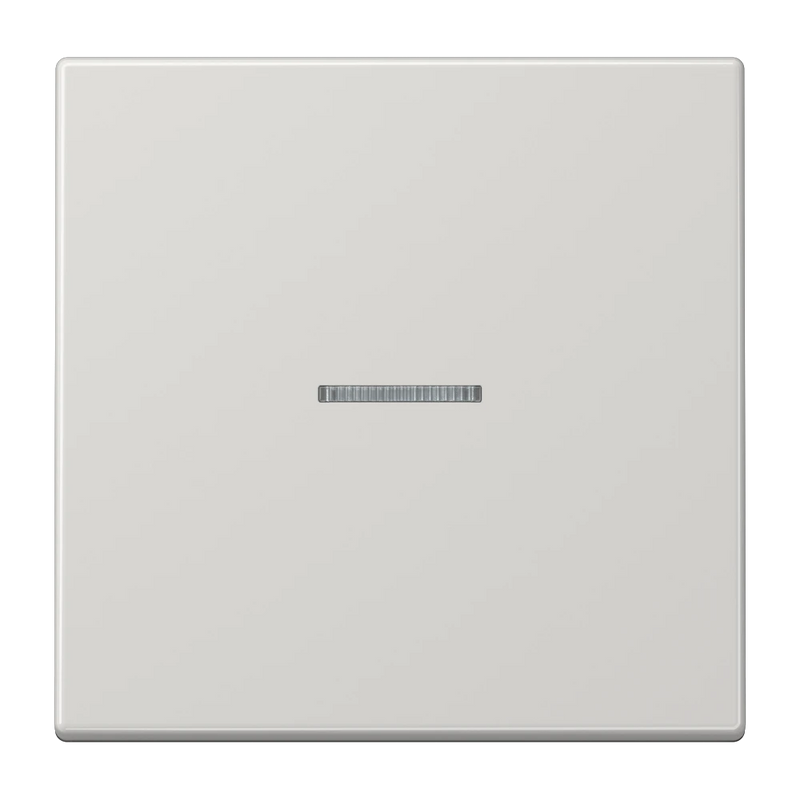 Chargez l'image dans la visionneuse de la galerie, Tecla simples com visor cinzento claro F10 JUNG
