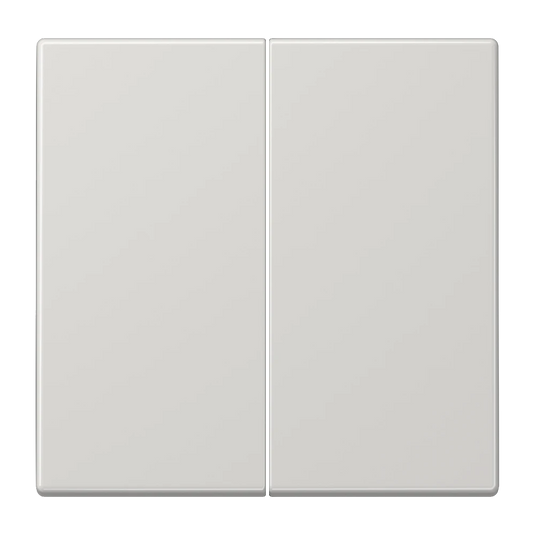 Tecla duplo cinzento claro F10 JUNG