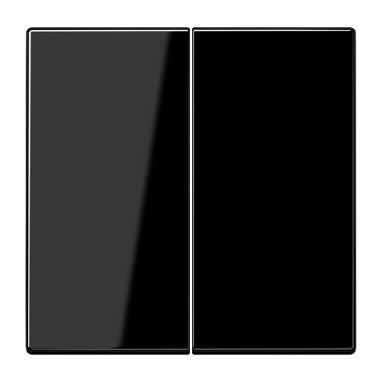 Tecla duplo preto F10 Série LS JUNG