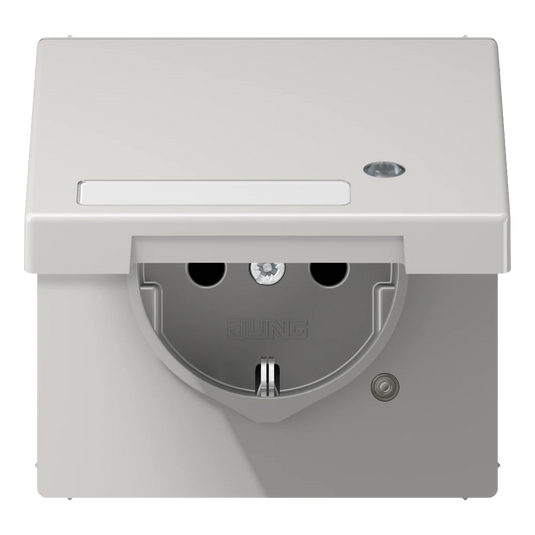 Tomada SCHUKO® com Tampa Basculante Cinzento Claro LS1520NAKLKOLG JUNG