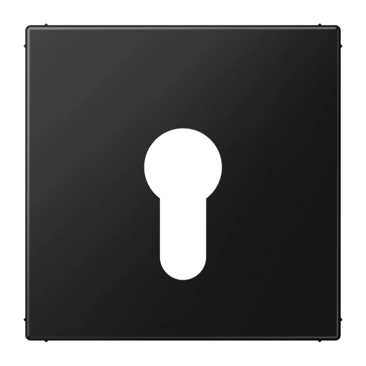 Capa para Interruptor de Chave Preto Mate LS JUNG
