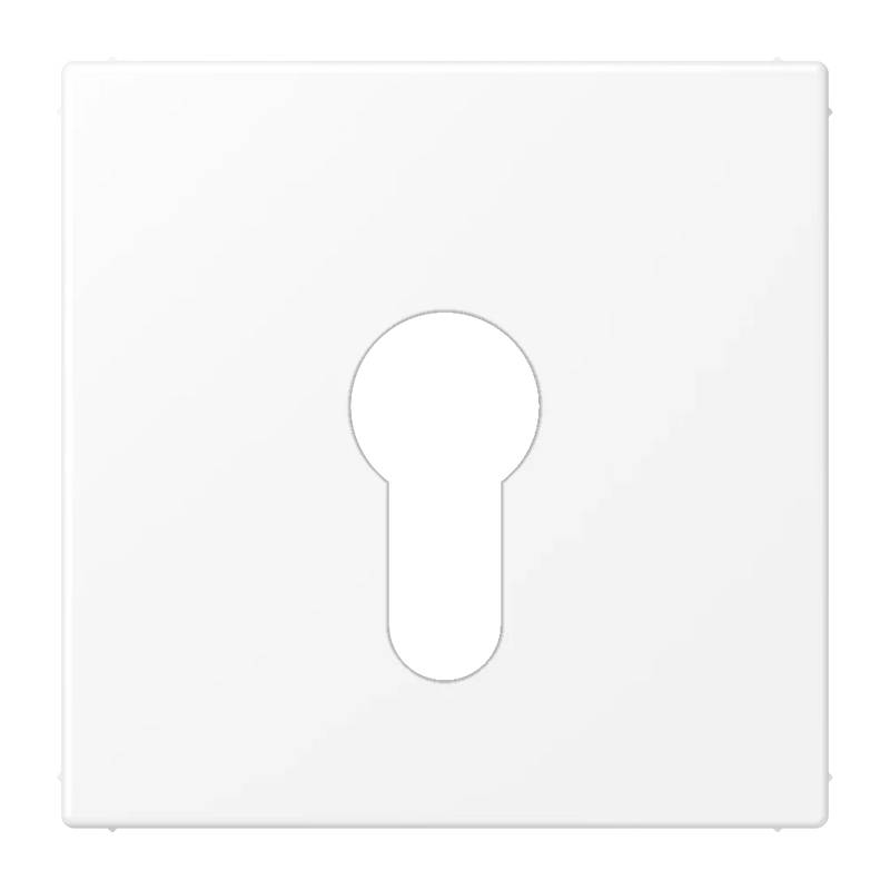 Load image into Gallery viewer, Capa para Interruptor de Chave Branco Mate LS JUNG
