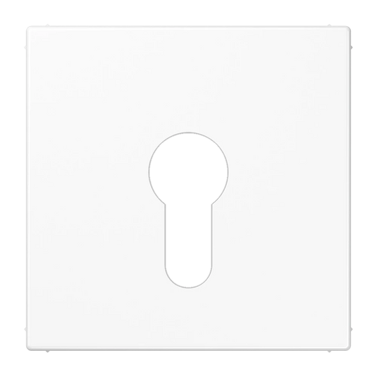Capa para Interruptor de Chave Série LS Branco JUNG