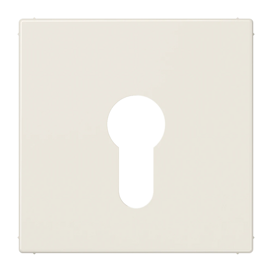 Capa para Interruptor de Chave Sem Proteção Marfim LS JUNG