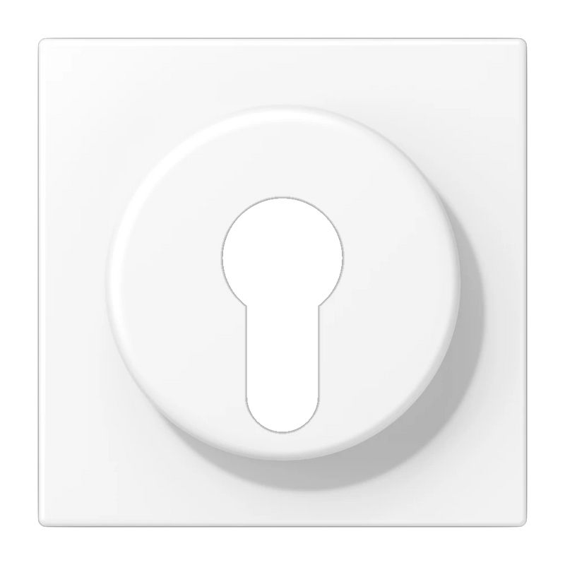 Load image into Gallery viewer, Capa para Interruptor de Chave com Proteção Branco Mate LS JUNG
