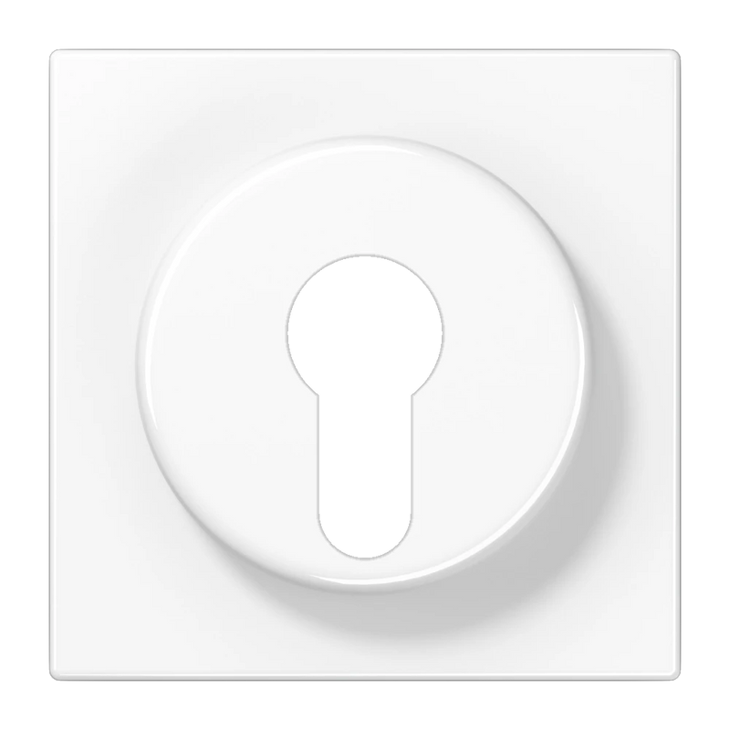 Load image into Gallery viewer, Capa para Interruptor de Chave com Proteção Branco LS JUNG
