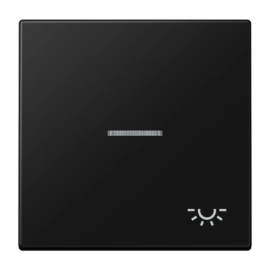 Tecla simples símbolo luz com visor preto mate LS JUNG