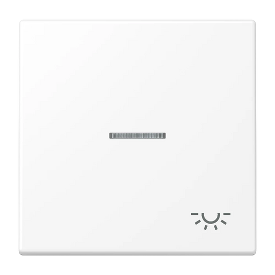 Tecla simples símbolo luz com visor branco mate LS JUNG