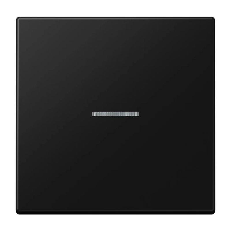 Load image into Gallery viewer, Tecla simples com visor preto mate LS JUNG
