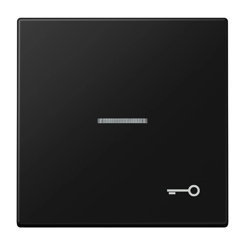 Carregue imagem no visualizador da galeriaTecla simples símbolo porta com visor preto mate LS JUNG
