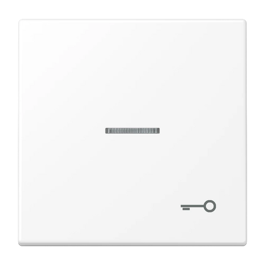 Tecla simples símbolo porta com visor branco mate LS JUNG
