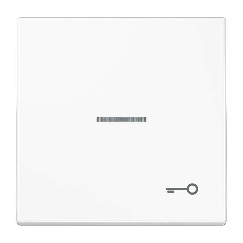 Load image into Gallery viewer, Tecla simples com símbolo porta e visor branco LS JUNG
