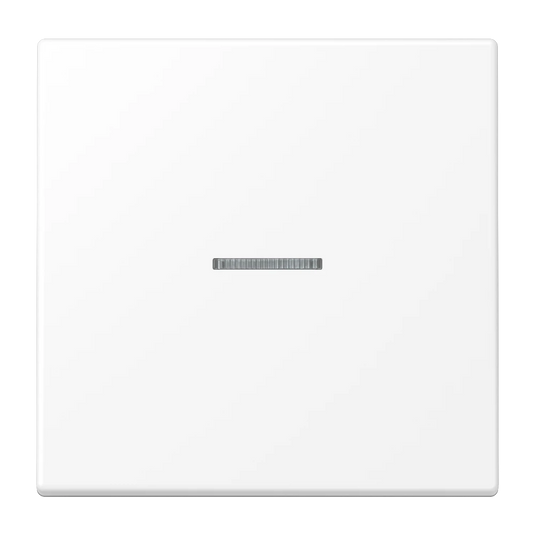 Tecla simples com visor branco mate LS JUNG