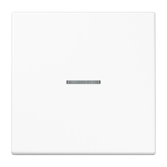 Tecla simples com visor branco LS JUNG