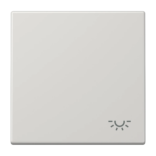 Tecla simples símbolo luz LS JUNG cinzento claro