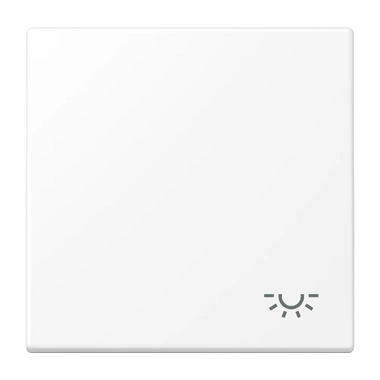 Tecla simples símbolo luz branco mate LS JUNG