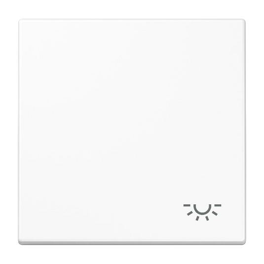 Tecla simples símbolo luz branco LS JUNG