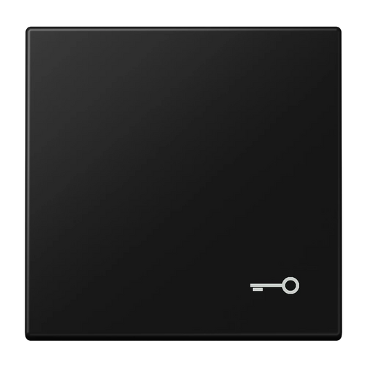 Tecla simples símbolo porta preto mate LS JUNG