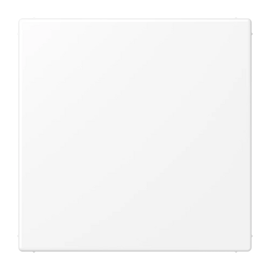 Placa cega branco mate LS JUNG