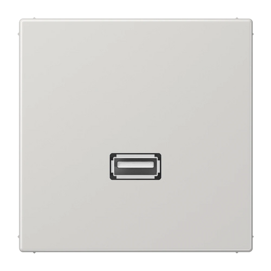 Adaptador USB 2.0 em Termoplástico Cinzento Claro Série LS JUNG