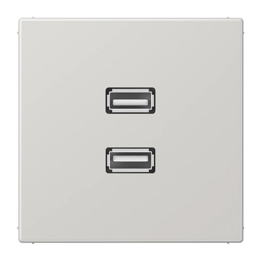 Adaptador 2 x USB 2.0 em Termoplástico Cinzento Claro LS JUNG