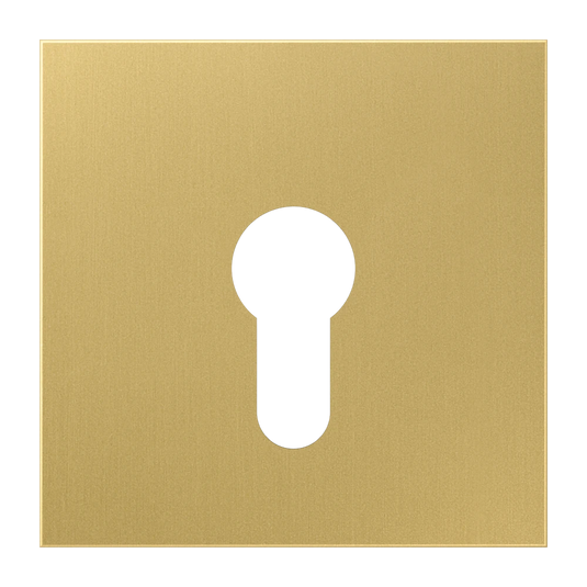 Capa para Interruptor de Chave Latão Classic Série LS JUNG
