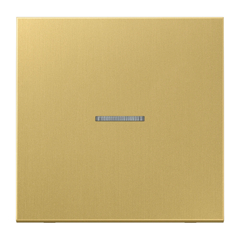 Carregue imagem no visualizador da galeriaTecla simples com visor latão classic Série LS JUNG
