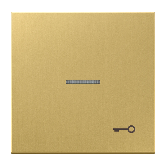 Tecla simples símbolo porta com visor latão classic Série LS JUNG
